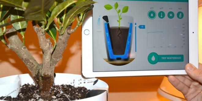 سنسورهای جدید هوشمند، گیاهان خانگی‌تان را آبیاری می‌کنند
